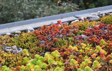 the cost of Darenth green roof installation