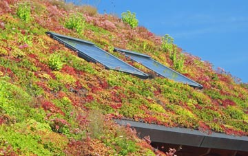 Darenth living roof systems