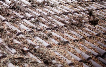 Darenth roof cleaning companies