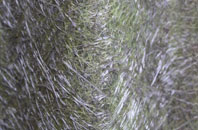 Darenth fibreglass roof work